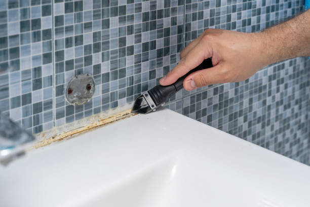 Best Mold Removal Near Me  in Forest Glen, MD